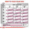 Royal Canin Renal Gravy Dog (Pouch) - Pack Of 10