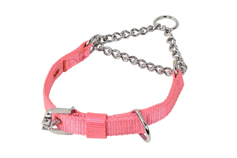 Kennel Soft Nylon Chain Martingale Collar No(1")