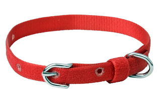 Kennel Furlon Mini Adjustable Dog Collar (W=1/4 Inch)