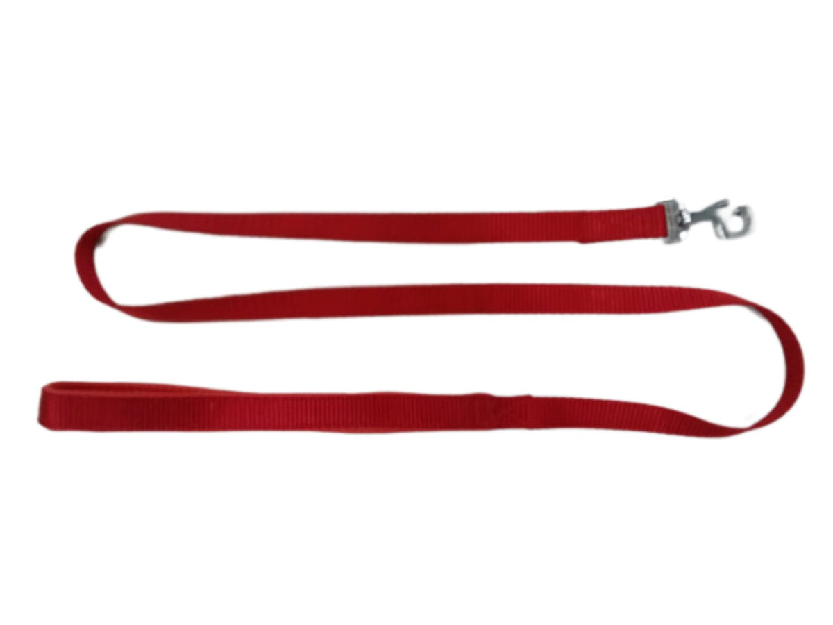 Kennel Foam Padded Soft Nylon Leash (3/4") (48")