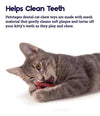 Petstages Catnip Plaque Pretzel Infused To Encourage Healthy Chewing Cat Toy - (Orange)
