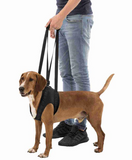 Trixie Gehhilfe Walking Aid For Dogs - Black