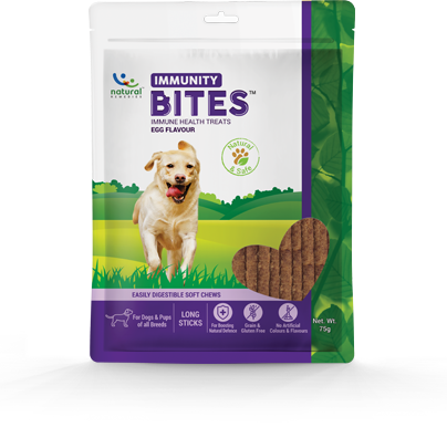 Natural Remedies Immunity Bites Health Treats - Egg Flavour