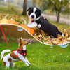 Whoof Whoof Bow Tie Tuxedo Harness With Leash