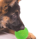 Petropolis Hard Spike Ball Toy For Dogs