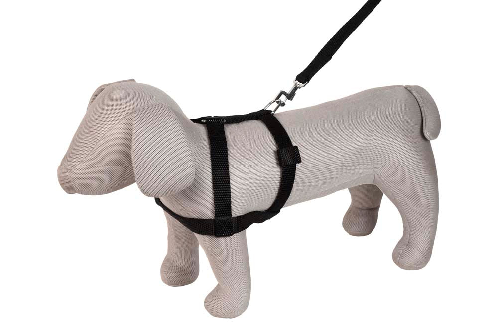 Kennel Nylon Body (1 1/4")