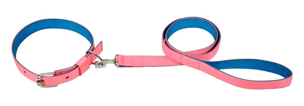 Kennel Soft Nylon Two Color Collar and Leash Set (1") (Large)