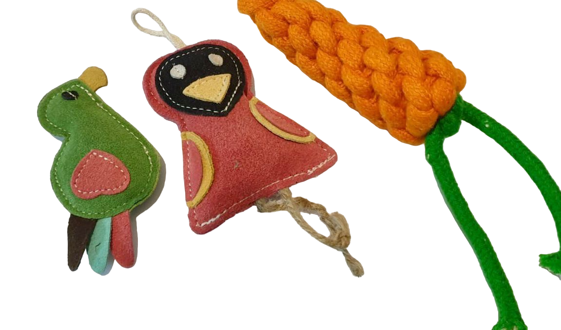 Pup-Arazzi Leather Carrot / Bird / Chicken (Set Of 3) For Dog Toy