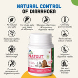 Natural Remedies Nutgut Digestive Supplement Tablet For Dogs & Cats