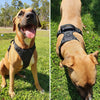 Whoof Whoof Double Padded Harness - Assorted Colors