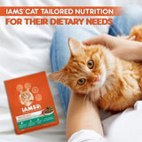 IAMS Proactive Health Healthy Adult With Chicken & Salmon Dry Food For Cats