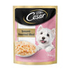Cesar Sasami Pouch 70 G (Pack Of 16) - Ecom Pack