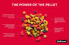 ZuPreem FruitBlend Flavor Bird Food for Parrots & Conures
