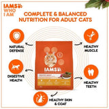 IAMS Proactive Health Healthy Adult With Chicken Dry Food For Cats