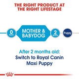 Royal Canin Maxi Starter Dog Dry Food