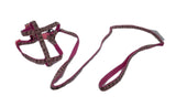 Petropolis Fancy Leash & Harness