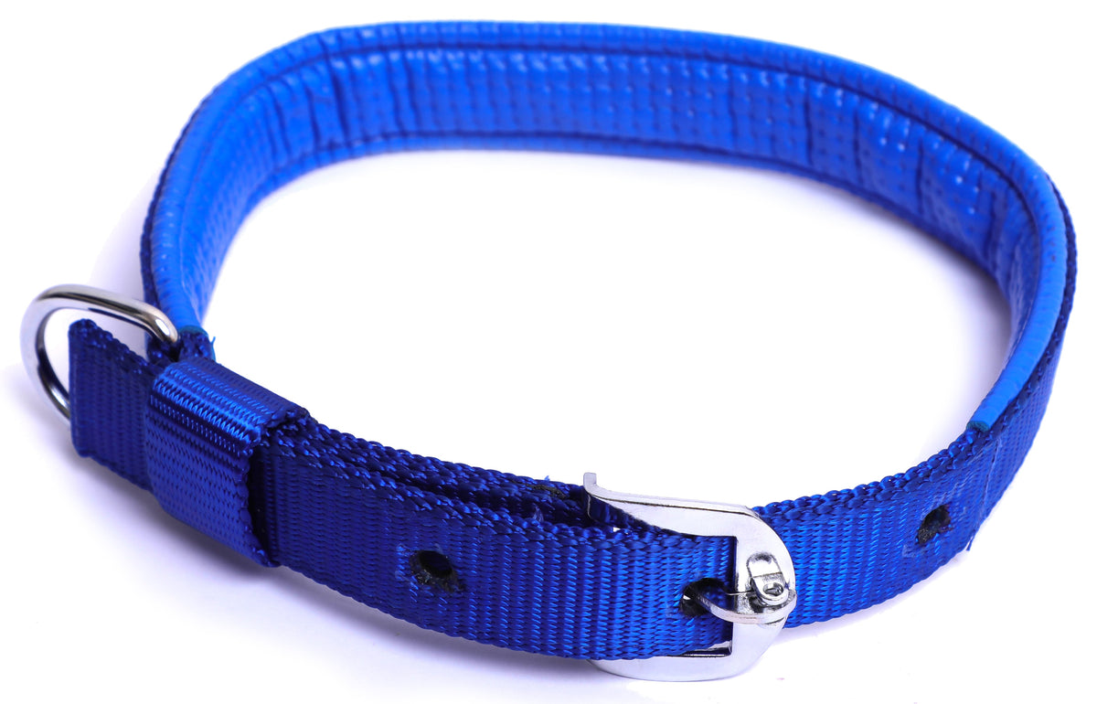 Kennel Foam Padded Nylon Collar (1")