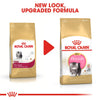 Royal Canin Persian Kitten Dry Food
