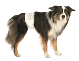 Trixie Disposable Diapers For Male Dogs (46 - 60 CM)