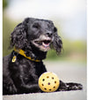 Trixie Spielzeug Fur Blinde Hunde Hole Ball With Bell Natural Rubber Dog Toy