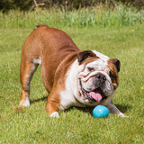 BecoPets Treat Rubber Ball - Blue