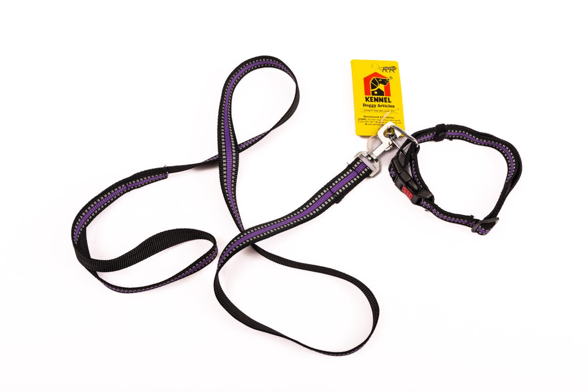 Kennel Reflective Collar & Leash Set (3/4")