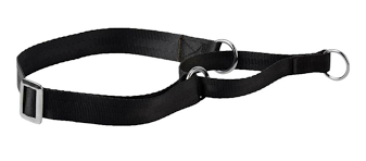 Kennel Nylon Martingale Collar (3/4")