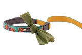 Ruffwear Flat Out Leash - Spring Burst - Standard