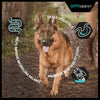 Pro Plan Sensitive Digestion Medium Adult Dog Dry Food