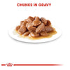 Royal Canin Instinctive Gravy Salsa Sas Cat Pouch