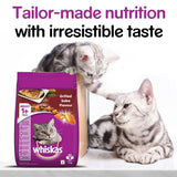 Whiskas Grilled Saba Flavour Adult Cat Dry Food