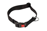 Kennel Soft Nylon Adjustable Click Lock Collar (3/4