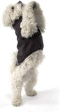 Pawz Dog Coat With Built In Harness