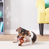 Nylabone Medley Flavor Ring Bone