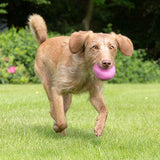 BecoPets Treat Rubber Ball - Pink