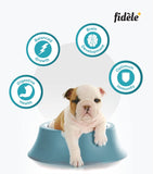 Fidele Puppy Starter Dry Food