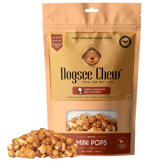 Dogsee Chew Dental Chews With Real Coconut Premium - Mini Pops