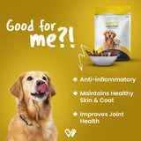 Wiggles : Barkstix Honey Chicken – Healthy Dog Treats