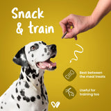 Wiggles : Barkstix Honey Chicken – Healthy Dog Treats