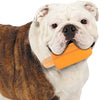 Basil Cool Lick Silicon Freeze And Play Ice Cream Shape Toy
