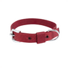 Kennel Nylon Half Collar