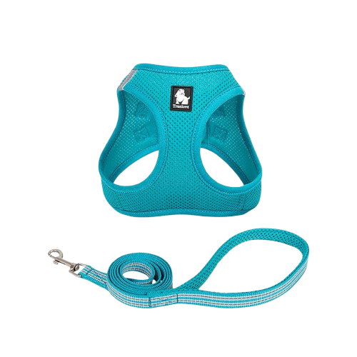 Truelove Mesh Harness & Leash Set For Cat & Dog