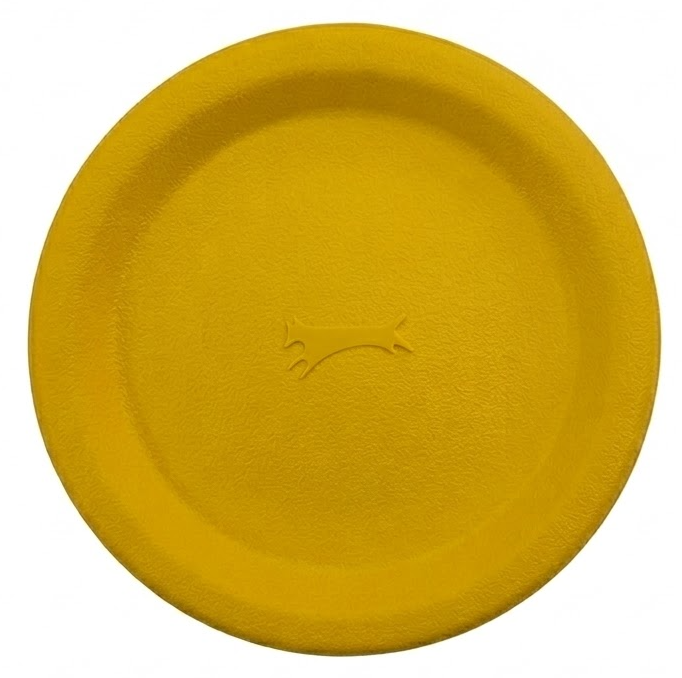 Kennel Frisbee