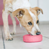 Kong Puppy Tires Toy For Dogs