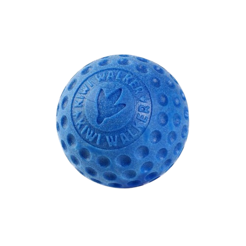 Kiwi Walker Ball Dog Toy