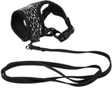 M-Pets Letsgo Cat Harness & Leash Set