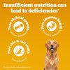 Pedigree Chicken and Vegetables Adult Dog Dry Food