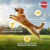 Pedigree Chicken and Vegetables Adult Dog Dry Food