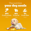 Pedigree Puppy Chicken and Milk