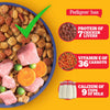 Pedigree Puppy Chicken and Milk